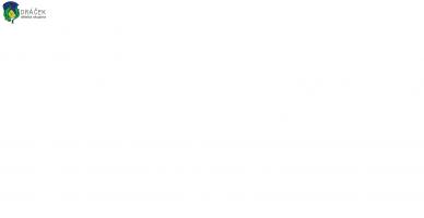 Logo DS Dráček